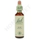 Bach Flower Remedies for Animals - Elm
